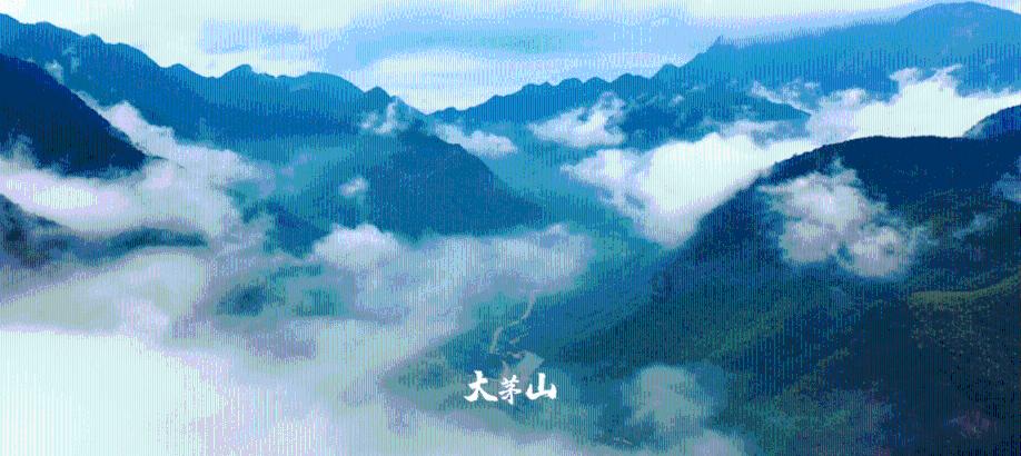 十堰消防全面开展地下及“三合一”场所典型案例复盘暨战例研讨活动